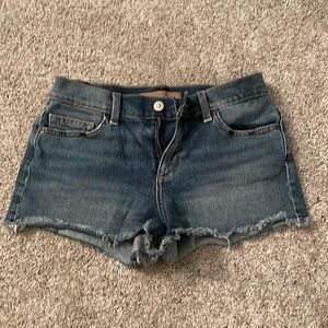 JOE denim cut-off shorts